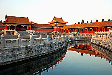 小嫩嫩小少妇BBBBBB仙踪林：养生茶饮走红，神秘仙踪林引关注-1