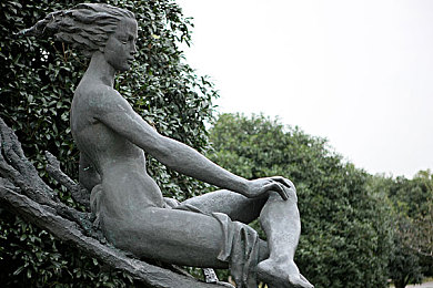 男生把小困困进女生困里视频：萌宠意外闯入，猫咪互动暖人心