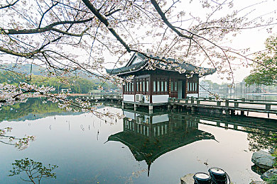 憋尿计划表：趣味“憋尿”挑战生活，新游戏走红玩家圈-2