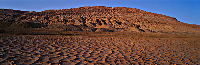 黄色视频软件下载：游戏新宠，畅玩无忧！-4