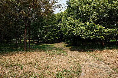 火箭少女流牛奶：火箭少女“牛奶奇遇”，意外走红！-2