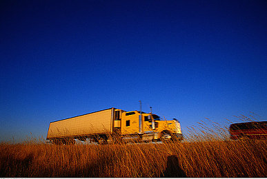 男生把小困困进女生困里视频：萌宠意外闯入，猫咪互动暖人心-3