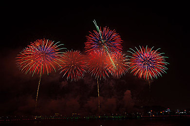 海角小马拉大车妈妈：奇幻世界引共鸣，感动游戏横空出世-3