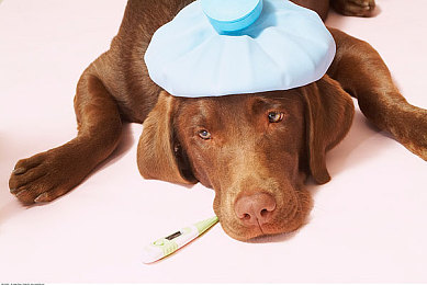 嫖客把舌头伸进我下面的故事:神秘女子遭遇引热议,奇幻冒险游戏揭秘-2