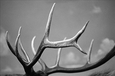 男生的困困塞女生的困困里：浪漫碰撞，性别互动游戏来袭-2