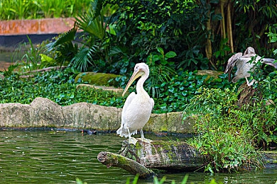 天天干天天做天天操：健康中国，全民动起来-3