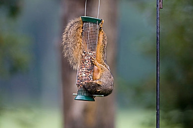 30岁人妻少妇69XX：少妇传奇：职场家庭双丰收，她如何书写精彩人生-4