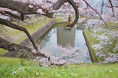 瓜哥黑料:艺人瓜哥黑料风波:演技人设面临严峻考验-1
