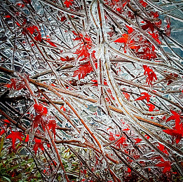 九九热热：金秋“热热”现象引关注-3