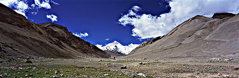 30岁人妻少妇69XX：少妇传奇：职场家庭双丰收，她如何书写精彩人生-5