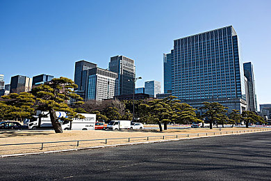 小嫩嫩小少妇BBBBBB仙踪林：养生茶饮走红，神秘仙踪林引关注-5